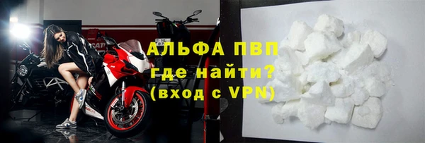 индика Каменск-Шахтинский