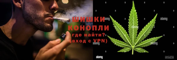 индика Каменск-Шахтинский