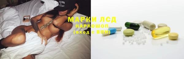 скорость Каменногорск