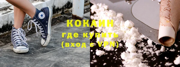 индика Каменск-Шахтинский