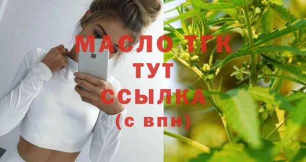 индика Каменск-Шахтинский